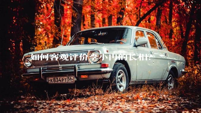 如何客观评价李小冉的长相？