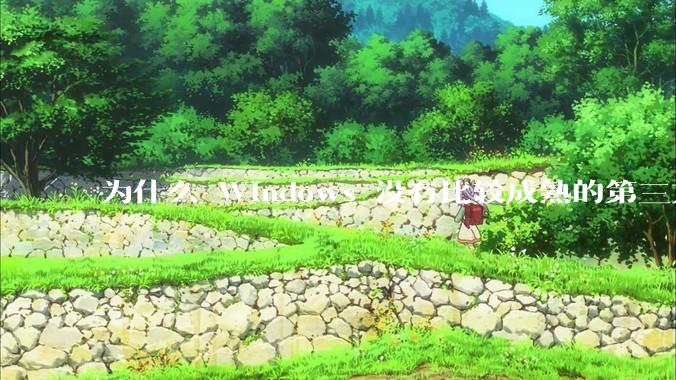 为什么 Windows 没有比较成熟的第三方桌面环境（explorer.exe）？