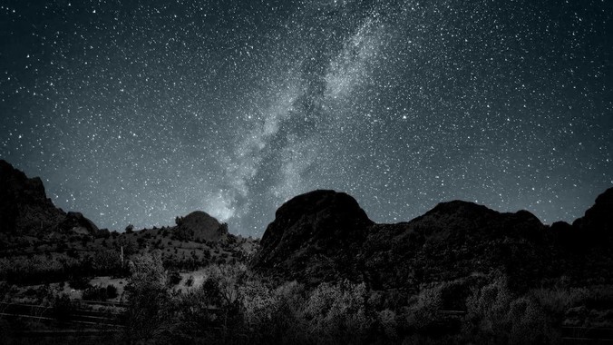 在所有动物肉中，哪一种味道最好？