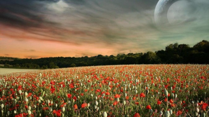 东莞的外来人口比例比深圳更高，为什么很少有人说&ldquo;东莞不是个广东城市&rdquo;？